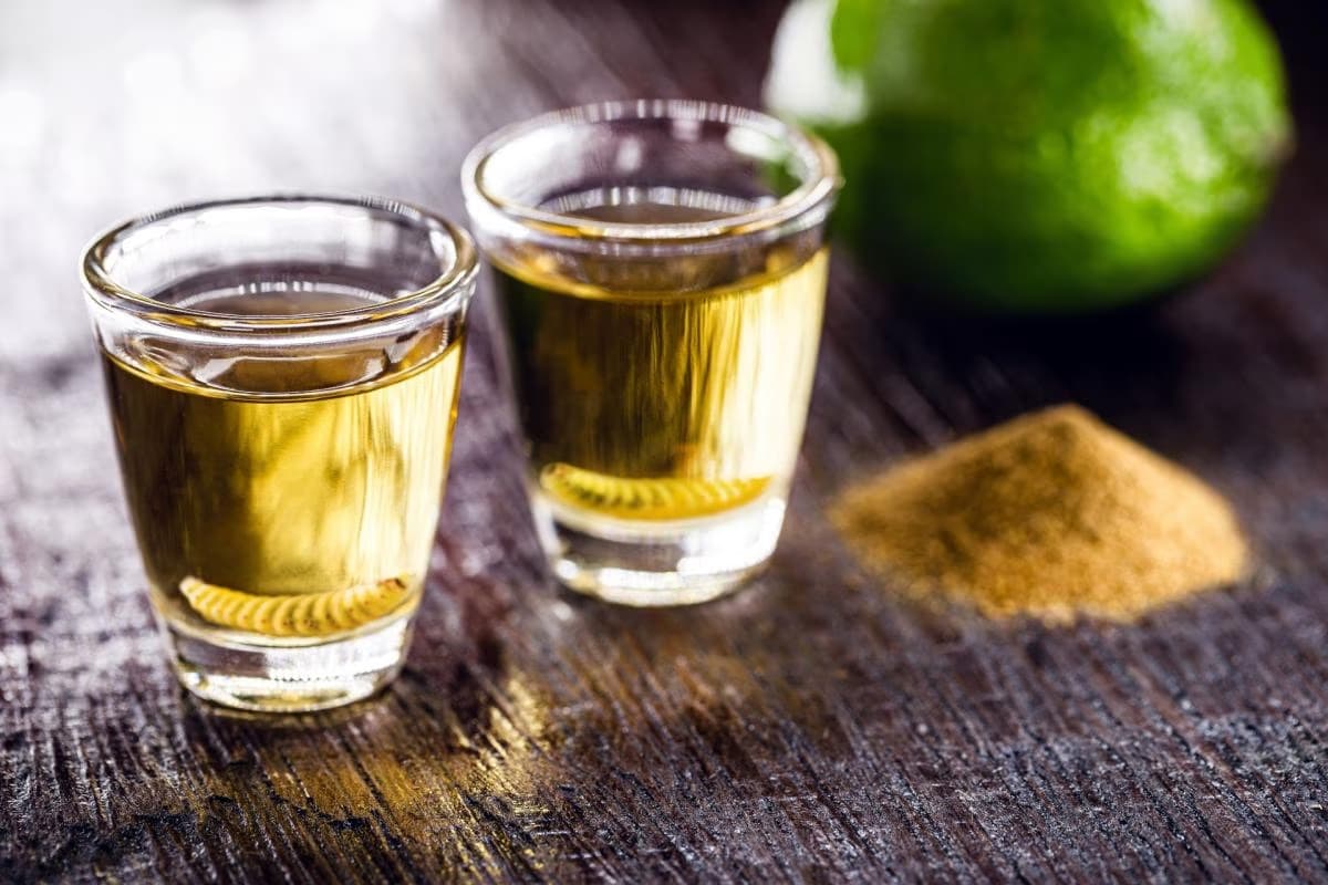 Ruta del mezcal ancestral en Oaxaca: Fábricas familiares en Santiago Matatlán